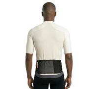 Q36.5 Maillot à Manches Courtes Dottore Clima Pro