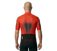 Q36.5 Maillot à Manches Courtes Gregarius Clima Q Lab