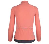 Q36.5 Maillot à Manches Longues Dottore Pro