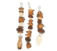 Qalvona Jouet Morsure Oiseau, Set de Jouets à Croquer avec Boule de Rotin et Os de Seiche, Crochets en Acier Inoxydable, Suspendu pour Perroquets