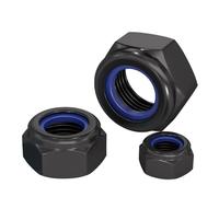 QANCEN 10 Pièces Écrous Hexagonaux M12 en Acier Inoxydable A2 V2A, Noir Écrous Autobloquants avec Inserts en Nylon,DIN985 Filetage Métrique Frein de Blocage pour Boulons,Vis