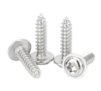 QANCEN 50 Pièces Vis Autotaraudeuses M5x25 mm,Acier Inoxydable A2 V2A Vis à Tête Plate Torx pour Bois, Vis Autoperceuses à Tête Ronde