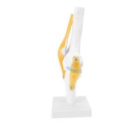 QANYEGN Modèle d'articulation du genou, modèle de genou grandeur nature, modèle éducatif d'anatomie du genou grandeur nature en PVC pour les démonstrations en ducation