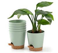 Qaobo Lot de 6 Pots de Fleurs de 12,7 cm à arrosage Automatique pour Plantes d'intérieur et d'extérieur avec réservoir et Rebord d'arrosage Vert
