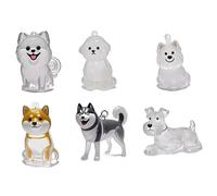 Qaonsciug Lot de 6 porte-clés transparents pour animaux de compagnie - Souvenirs à fourrures de chien - Pendentifs pour collectionneurs de cheveux - Breloque pour propriétaires de deuil - Boîte à