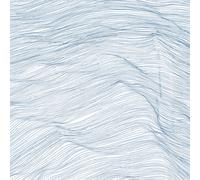 Qasim Naqvi, Wadada Leo Smith & Andrew Cyrille Two Centuries (Vinyl) 12" Album