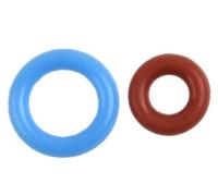 QASULER Bague d'étanchéité pour Machine à expresso, pour double | chaudière pour Sage pour Creatista Pro, pour fuite de pièces de rechange Forsilicone O, pour joint d'infusion étanche