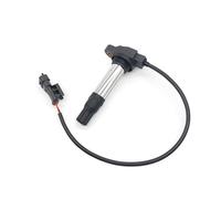 QASULER Bobine d'allumage 38010144B, 38010145B, for 790 821 Bobine d'allumage pour Moto