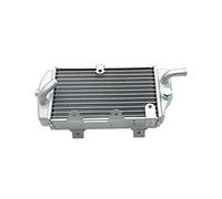 QASULER Récipient d'eau de radiateur de réservoir de moto, for BOSUER M6 J1 refroidi à l'eau CB300cc Cross Country Radiateur de moto(Left)