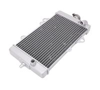 QASULER Refroidisseur de réservoir d'eau de radiateur de moto, for, YFM700 YFM 700 2013-2020 Radiateur de moto