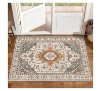 QAUUCP Tapis Salon Vintage Tapis Lavable en Velours Cristal, Tapis Vintage d'intérieur for Salon, Grand antidérapant Machine(Color14,80x120cm)
