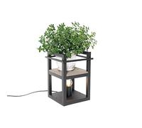 Qazqa cage rack - Lampe de table - 1 lumière - L 21.8 cm - Noir - Rustique - éclairage intérieur - Salon I Chambre I Cuisine I Salle à manger
