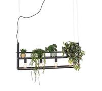 Qazqa cage rack - Suspension multiples - 4 lumière - L 100 cm - Noir - Rustique - éclairage intérieur - Salon I Chambre I Cuisine I Salle à manger