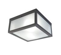 Qazqa charlois - LED Dimmable Plafonnier variateur inclus - 2 lumière - L 24 cm - Noir - Moderne - éclairage extérieur - Salle de bains