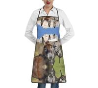 QAZWZML Tablier humoristique imprimé ânes, tablier réglable avec poches, adapté pour la cuisine, le jardinage et la cuisine.