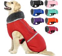 QBLEEV Manteau d'hiver avec Doublure épaisse en Polaire, Chaud, étanche et réfléchissant, col roulé, pour Chiens de Petite, Moyenne et Grande Tailles, Taille M