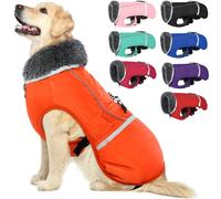 QBLEEV Manteau d'hiver avec Doublure épaisse en Polaire, Chaud, étanche et réfléchissant, col roulé, pour Chiens de Petite, Moyenne et Grande Tailles, Taille S