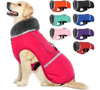 QBLEEV Manteau d'hiver avec Doublure épaisse en Polaire, Chaud, étanche et réfléchissant, col roulé, pour Chiens de Petite, Moyenne et Grande Tailles, Taille M