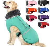 QBLEEV Manteau d'hiver avec doublure épaisse en polaire, chaud, imperméable et réfléchissant, col roulé, pour chiens de petite, moyenne et grande taille, taille XL