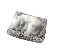 QcA587 Jouet de sommeil amusant, chat dans le matelas, mini chat dans la chaussure avec sons de MIAU, jouets mignons endormis, décorations pour enfants, garçons et filles QcA587 (D, taille unique)