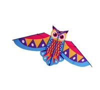 Qcbuegof Cerf-volant coloré en forme de hibou pour enfants Famille Coupe-vent Polyester Tissu stable Renforcé Les compétences d'observation Parc familial Activités Citations