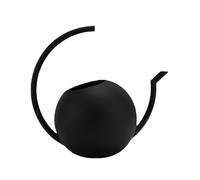 Qcbuegof Petite boîte d'irrigation pour plantes d'intérieur en acier inoxydable avec longue sortie 1000 ml