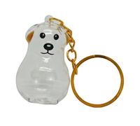 Qcbuegof Porte-clés commémoratif transparent en poils d'animaux de compagnie pour amoureux des chiens, boîte à bijoux pour animaux de compagnie, souvenir des animaux de compagnie, accessoires clés de