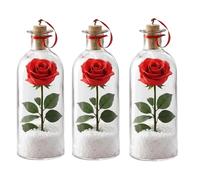 QCDZSW Message de Rose dans Une Bouteille, Cadeau d'amour enregistrable avec liège de Lecture, Message Romantique en Forme de cœur de Roses dans Une Lettre de Bouteille(3 Pcs)