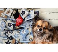 QCHEFS Calendrier de l'Avent des Chiens 2023 Délicieux croqué et Brossé les Dents Sans plastique en Papier Seulement et Votre Chat appuiera Son Sac seul!