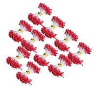 Qcwwy 900 étamines de Fleurs Rouges Artificielles en Plâtre avec Tige Filamenteuse pour la Confection de Bouquets, Vêtements, Bijoux et Décorations artisanales. (plâtre 2)