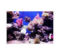 Qcwwy Affiche Corail D'effet 3D, Affiche D'auto-adhésif sur Le Thème de L'océan Décoration de Fond D'Aquarium de L'épreuve de l'eau Facile à Peler et à Coller l'art Mural 3D pour (61 * 41CM)