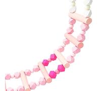 Qcwwy Balançoire en Bois de Pont d'échelle d'oiseau pour des Calopsittes et des Perruches 'aras avec la Coupe Fine et l'installation Flexible pour des Jouets Interactifs 'Oiseau de Jeu (Rose