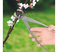 Qcwwy bonsaï en Acier au Carbone, Cisaille de Jardin, branches pour Couper les Fleurs, les Arbres Fruitiers, les Plantes à bonsaï, à l'intérieur et à l'extérieur, Outils de Jardin