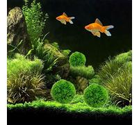 Qcwwy Boule d'herbe de Plantes en Plastique d'Aquarium, Plantes 'Eau Verte Artificielles pour Aquarium, Boule 'algues Décoratives, Matériau PE Durable, Idéal pour Les de Maison et de Bureau