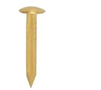 Qcwwy Clous à Tête Ronde en Laiton Vintage, Kit d'assortiment de Clous de Haute qualité pour Projets de Bricolage et Décoration de la Maison, 100 Pièces (10 mm de long)