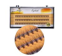 Qcwwy Extensions de Cils Doux, Volume 3D, Aspect Pelucheux Naturel, pour Maquilleurs et Kits d'extension de Cils à Usage Domestique, 60 Pièces (8 millimètres)