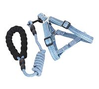 Qcwwy Harnais Licou de Base pour Chien, Colliers et Laisses de Style Harnais avec Poignée en Mousse pour la Marche, la Course, l'entraînement, Les Aventures en Plein Air, Ensemble et Laisse pour (M