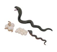 Qcwwy L'ensemble de Jouets éducatifs sur la Figurine Snake Stimule L'intérêt pour Les étapes de Croissance Animale pour Le Matériel d'apprentissage des Enfants: PVC