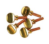 Qcwwy Vis de Serrage du Manche de Saxophone, Pièce de Rechange en Laiton pour Saxophones Alto et Ténor pour une qualité Sonore Améliorée, Instruments de Musique à Sarbacane