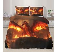 QDJKBL Parure de lit dragon occidental avec housse de couette motif dragon de feu ruines brûlantes, créature mythique, parure de lit pour enfants, lit double, 200 x 200 cm