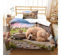 QDZHCPMYK 3D, Imprimé Cotton Candy Poodle Ensemble De Literie avec Microfibre Super Douce Et Respirante Sets De Housses De Couettes 2 Pièces avec Taies d'oreiller Single（135x200cm）