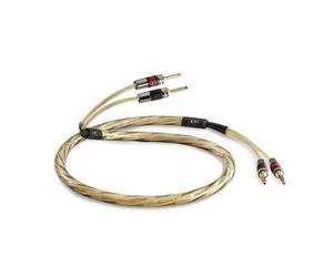 QED Golden Anniversary XT (2 x 2 m)