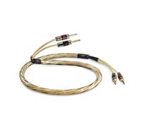 QED Golden Anniversary XT - Câble d'Enceinte Prémonté (2 x 3 m)