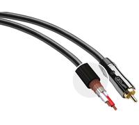 QED Performance P-SW (3 m) - Câbles caisson de basses