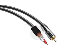 QED Performance P-SW (10 m) - Câbles caisson de basses