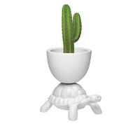 QEEBOO vase TURTLE CARRY PLANTER (Blanc - Polyéthylène)