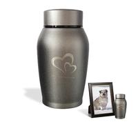 QESSUVNC Urne Souvenir Cendres Urne pour Adultes, Animaux de Compagnie - Petite Urne Urne en Acier Inoxydable Imperméable pour Chiens Chats Humains - UK
