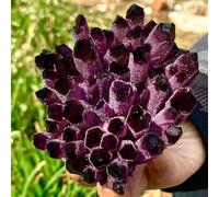 QEUOPGFD Ornements en Cristal Spécimen de guérison de grappe de Cristal de Quartz fantôme fantôme Violet 1 pièces Beau Cristal(600-700g)