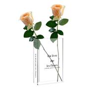 QFEHTHSK Vase Transparent 1 Pièce, Vase Créatif, Vase en Acrylique, Vase Décoratif, Décoration De Table, Décoration De La Maison