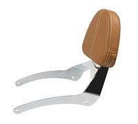 QFJFBGGH Porte-Bagages pour Indian pour Scout 2015-2023 pour Scout pour Sixty 2016-2023 Dossier Arrière Amovible Moto Sissy Bar avec Porte-Bagages Arrière Porte-Bagages(Chrome-C)